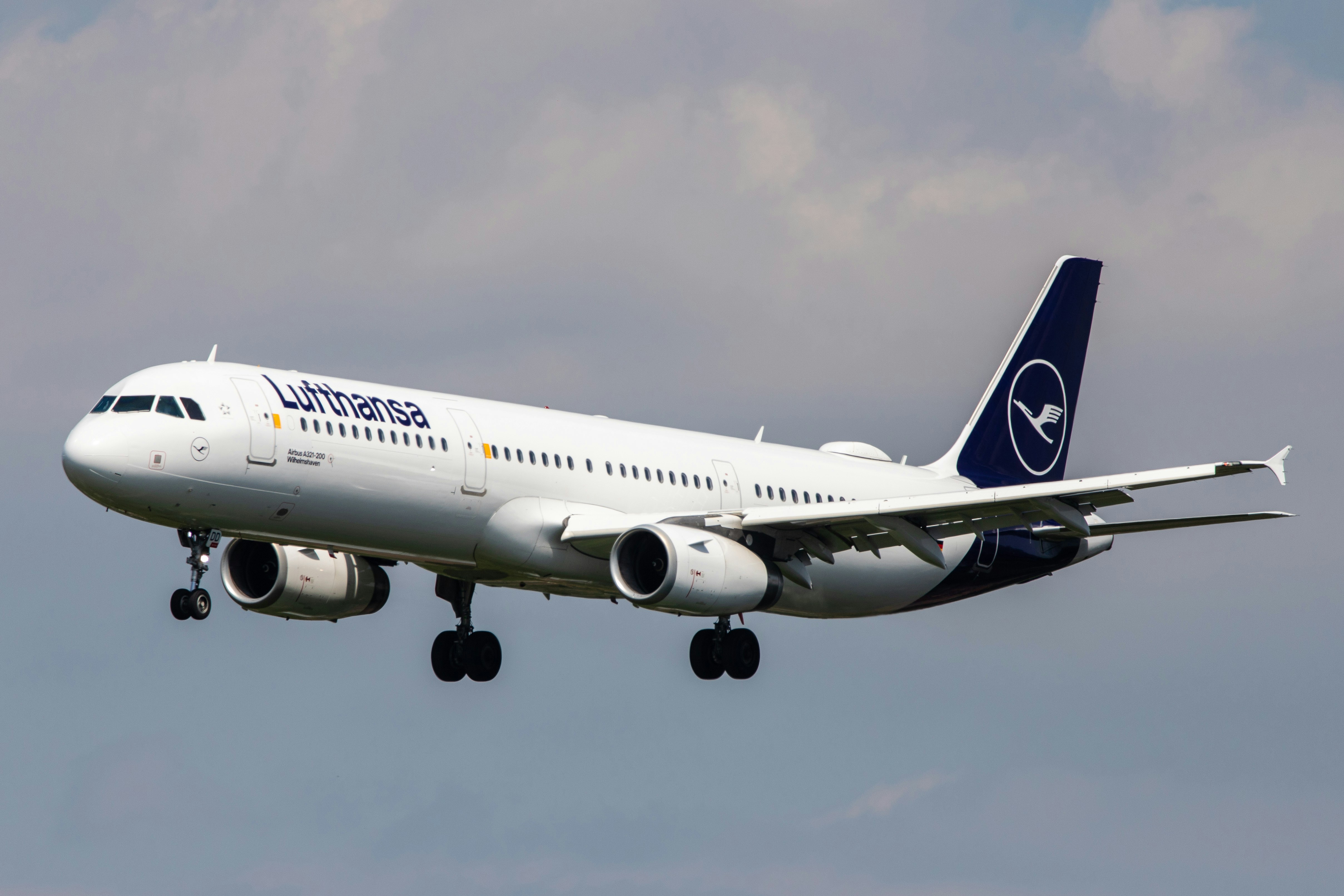aereo lufthansa.jpg
